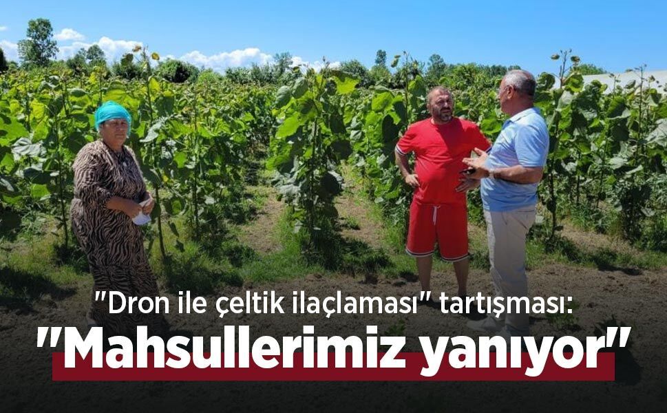"Dron ile çeltik ilaçlaması" tartışması: "Mahsullerimiz yanıyor"
