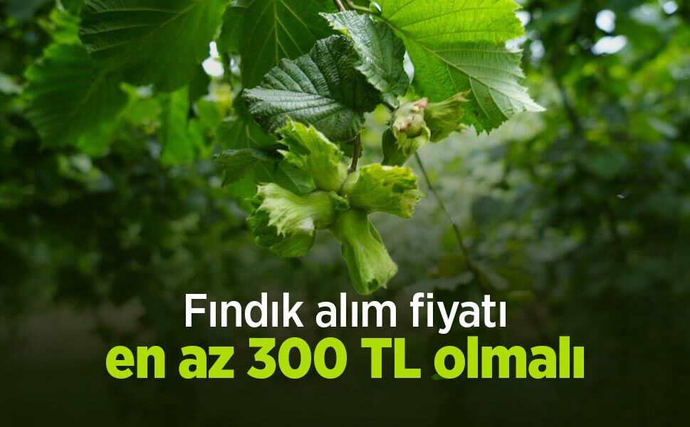 Aydemir: "Fındık alım fiyatı en az 300 TL olmalı"