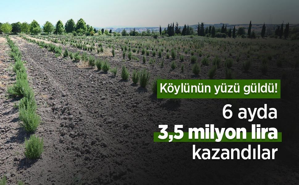Köylünün yüzü güldü! 6 ayda 3,5 milyon lira kazandılar