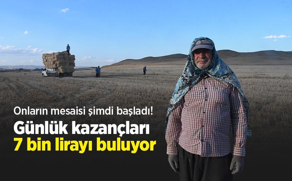 Onların mesaisi şimdi başladı! Günlük kazançları 7 bin lirayı buluyor