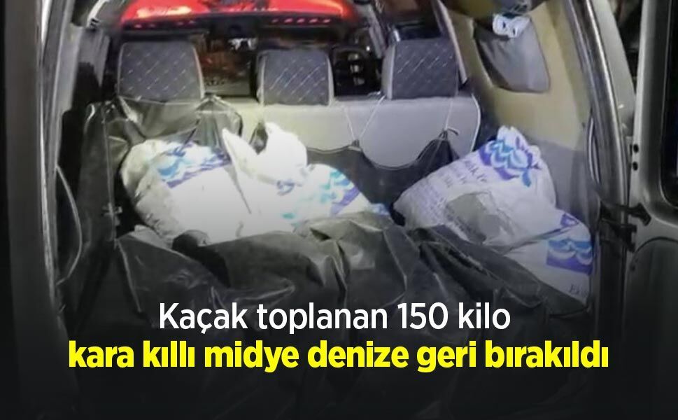Kaçak toplanan 150 kilo kara kıllı midye denize geri bırakıldı