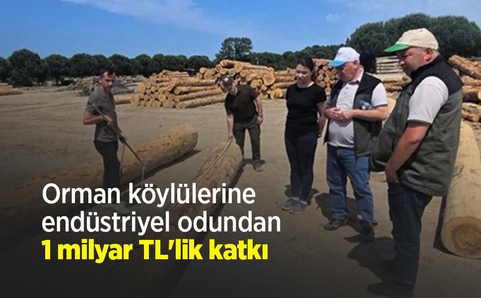 Orman köylülerine endüstriyel odundan 1 milyar TL'lik katkı