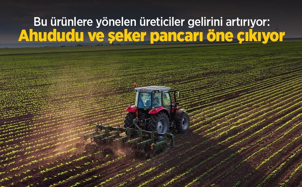 Bu ürünlere yönelen üreticiler gelirini artırıyor: Ahududu ve şeker pancarı öne çıkıyor
