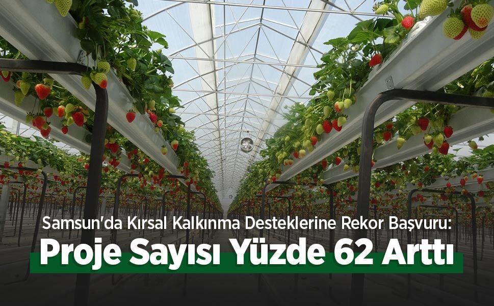 Samsun'da Kırsal Kalkınma Desteklerine Rekor Başvuru: Proje Sayısı Yüzde 62 Arttı
