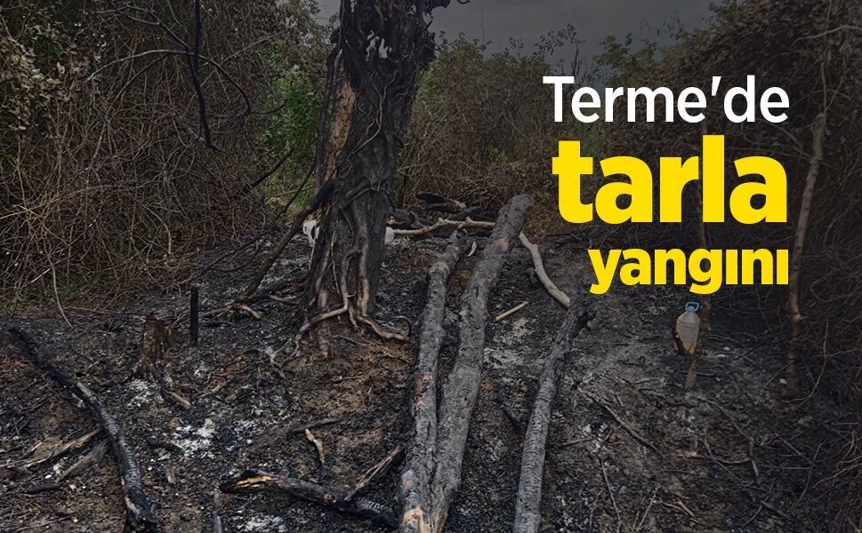 Terme'de tarla yangını: Yaşlı kadın kundaklama iddiasıyla şikayetçi oldu
