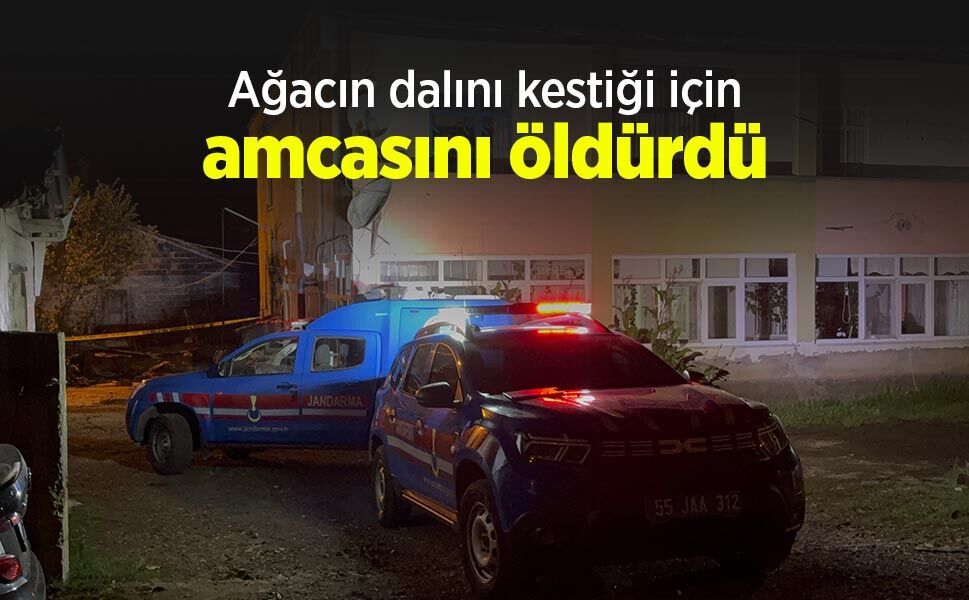 Ağacın dalını kestiği için amcasını öldürdü