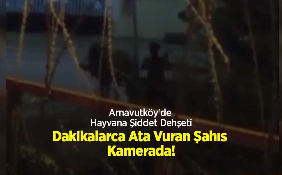 Arnavutköy'de Hayvana Şiddet Dehşeti: Dakikalarca Ata Vuran Şahıs Kamerada!