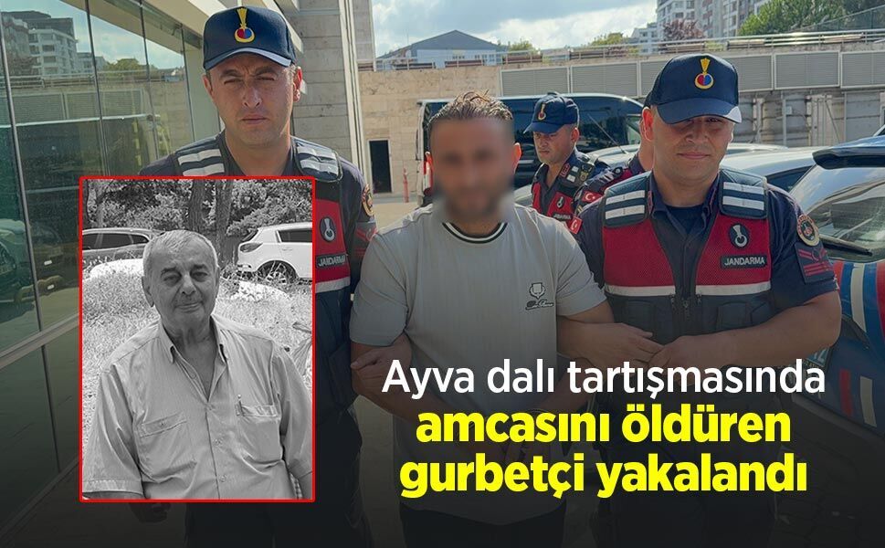 Ayva dalı tartışmasında amcasını öldüren gurbetçi yakalandı