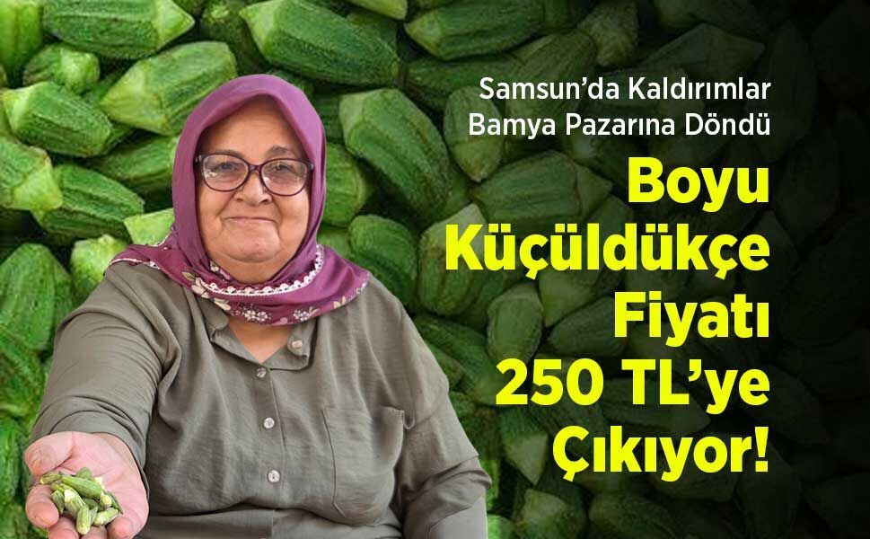 Samsun’da Kaldırımlar Bamya Pazarına Döndü: Boyu Küçüldükçe Fiyatı 250 TL’ye Çıkıyor!