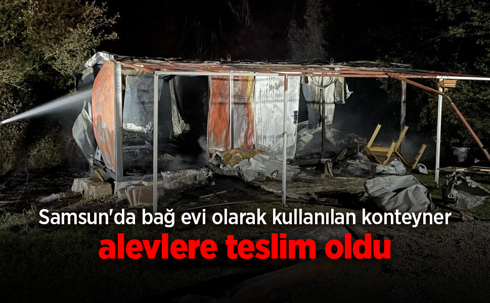 Kavak'ta konteyner ev yangını: İçindeki eşyalar kül oldu