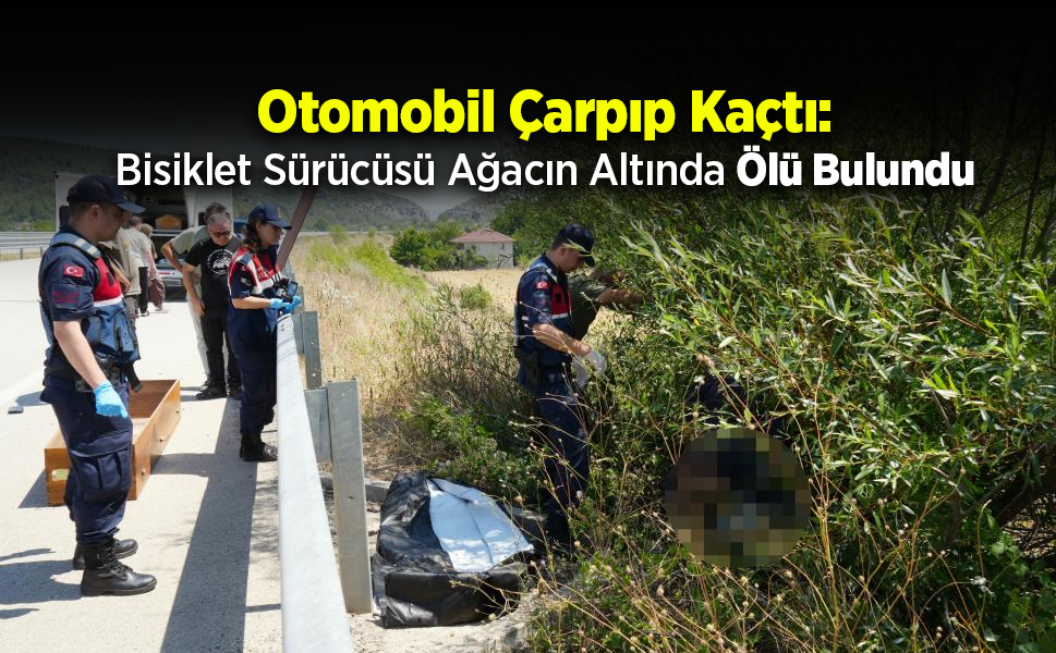 Feci Kaza! Bisiklet Sürücüsü Ağacın Altında Hayatını Kaybetti