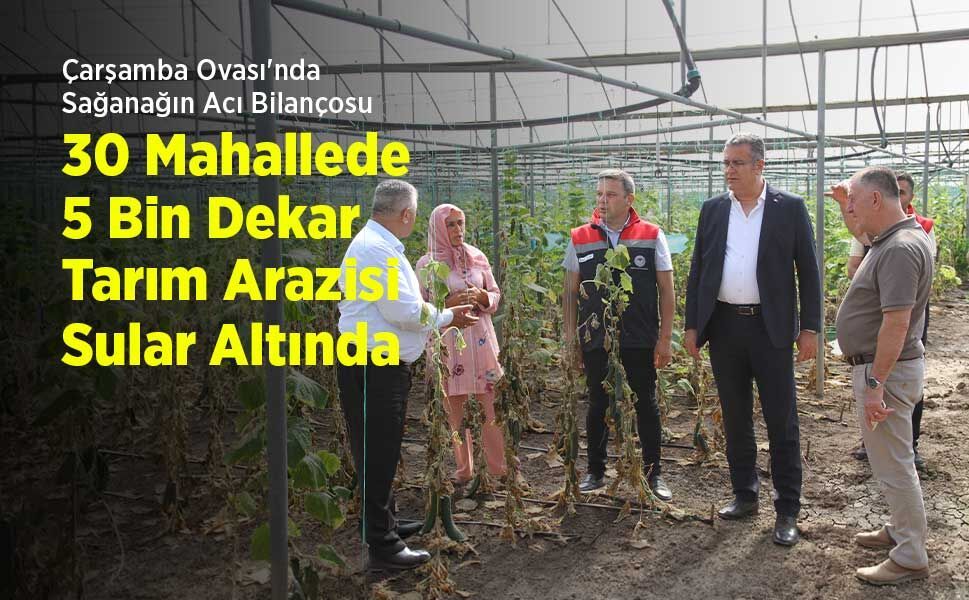Çarşamba Ovası'nda Sağanağın Acı Bilançosu: 30 Mahallede 5 Bin Dekar Tarım Arazisi Sular Altında Kaldı!