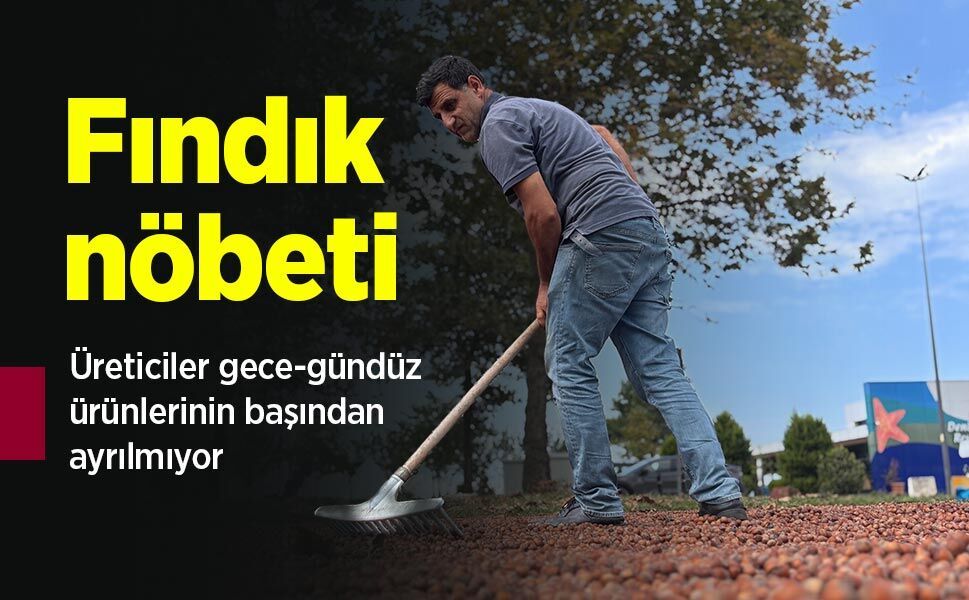 Fındık nöbeti: Üreticiler gece-gündüz ürünlerinin başından ayrılmıyor