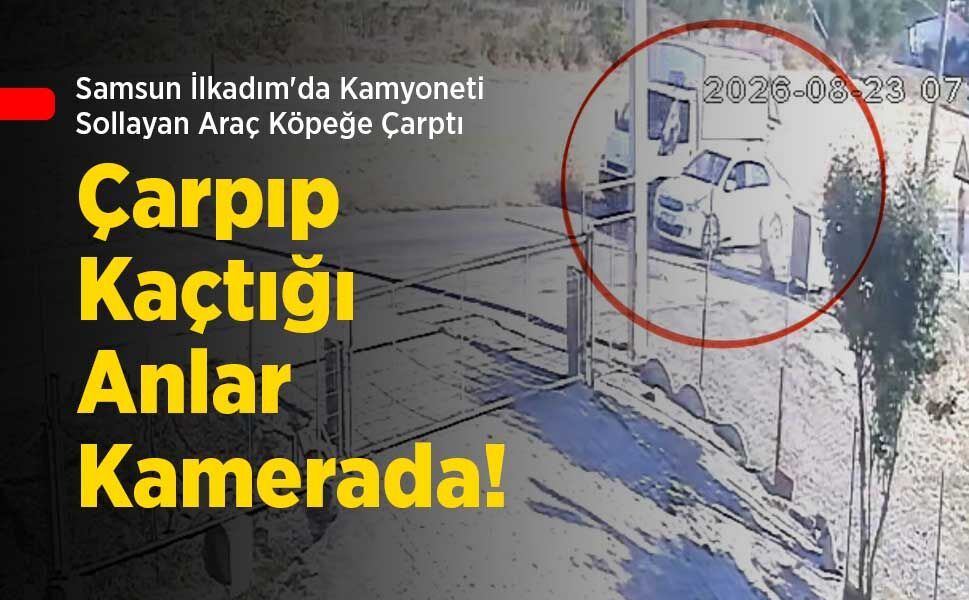 Samsun İlkadım'da Kamyoneti Sollayan Araç Köpeğe Çarptı: Çarpıp Kaçtığı Anlar Kamerada!