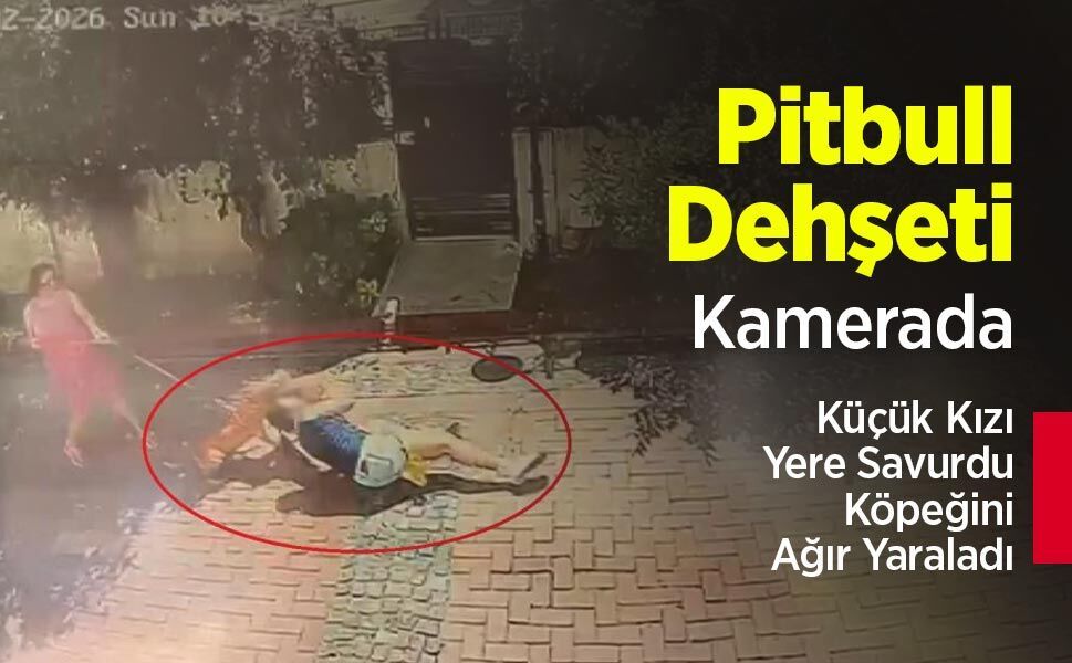 Pitbull Dehşeti Kamerada: Küçük Kızı Yere Savurdu, Köpeğini Ağır Yaraladı