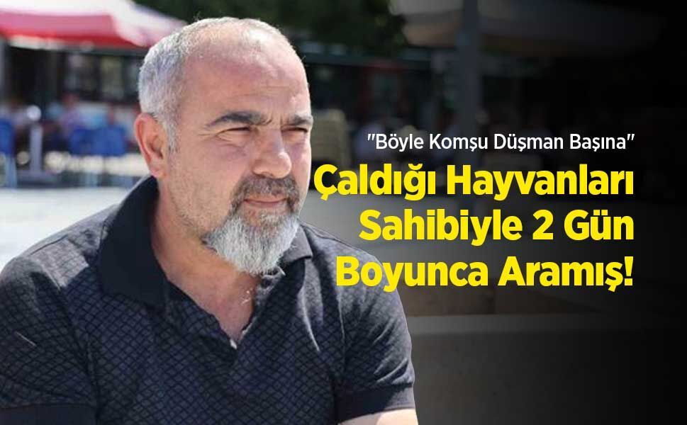 "Böyle Komşu Düşman Başına": Çaldığı Hayvanları Sahibiyle 2 Gün Boyunca Aramış!