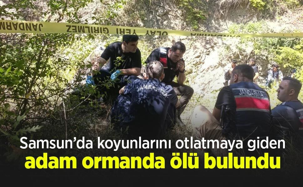 Samsun’da koyunlarını otlatmaya giden adam ormanda ölü bulundu