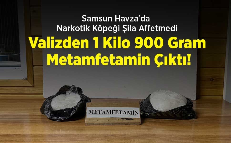 Samsun Havza’da Narkotik Köpeği Şila Affetmedi: Valizden 1 Kilo 900 Gram Metamfetamin Çıktı!