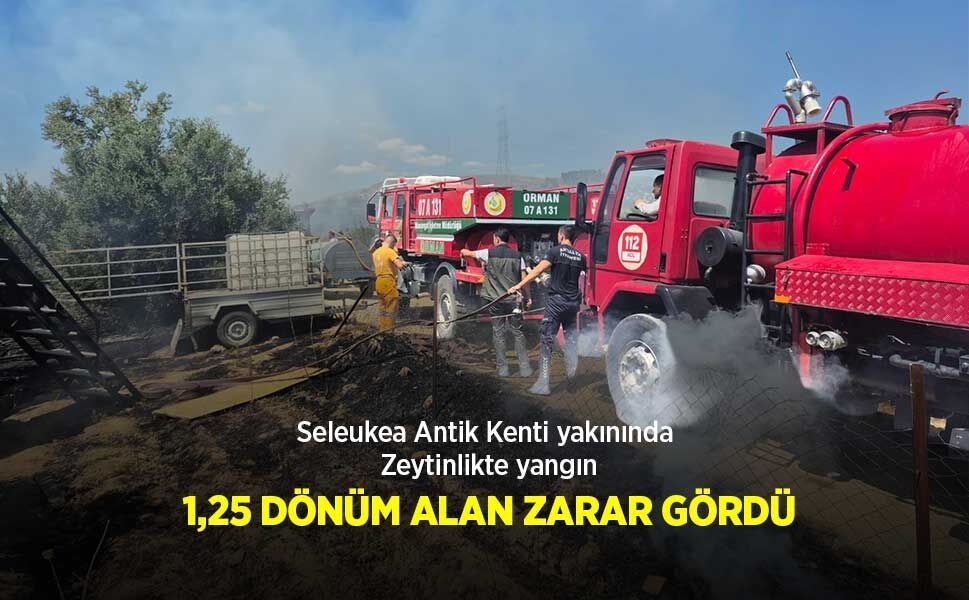 SELEUKEA ANTİK KENTİ YAKININDA ZEYTİNLİKTE YANGIN: 1,25 DÖNÜM ALAN ZARAR GÖRDÜ