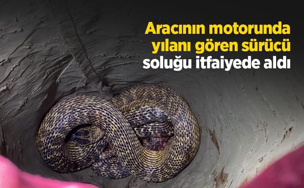 Aracının motorunda yılanı gören sürücü soluğu itfaiyede aldı