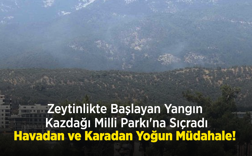 Zeytinlikte Başlayan Yangın Kazdağı Milli Parkı'na Sıçradı: Havadan ve Karadan Yoğun Müdahale!