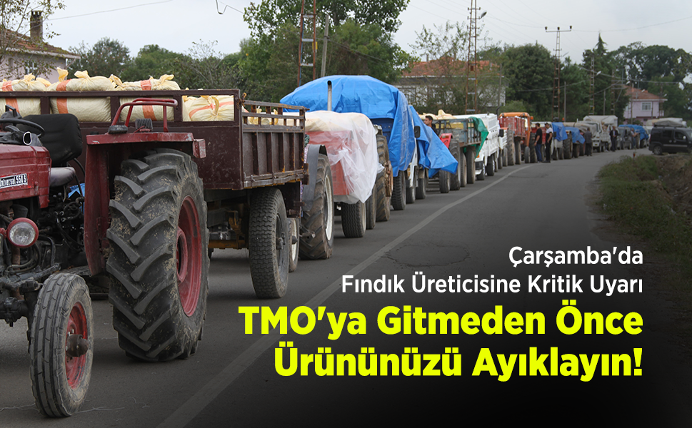 Çarşamba'da Fındık Üreticisine Kritik Uyarı: "TMO'ya Gitmeden Önce Ürününüzü Ayıklayın!"