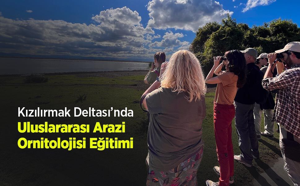 Kızılırmak Deltası’nda Uluslararası Arazi Ornitolojisi Eğitimi