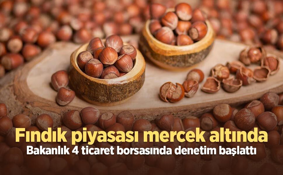 Fındık piyasası mercek altında: Bakanlık 4 ticaret borsasında denetim başlattı