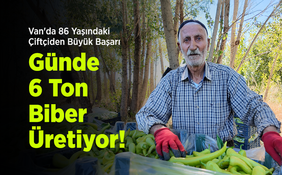 Van'da 86 Yaşındaki Çiftçiden Büyük Başarı: Günde 6 Ton Biber Üretiyor!