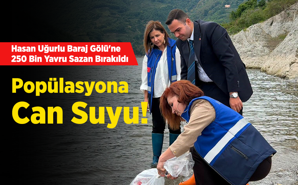 Hasan Uğurlu Baraj Gölü'ne 250 Bin Yavru Sazan Bırakıldı: Popülasyona Can Suyu!