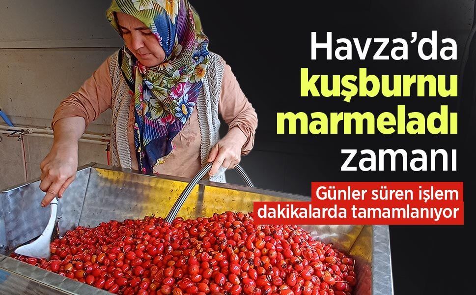 Havza’da kuşburnu marmeladı zamanı: Günler süren işlem dakikalarda tamamlanıyor