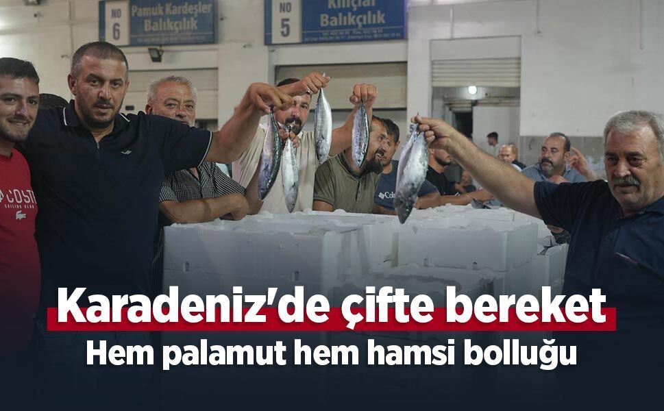 Karadeniz'de çifte bereket: Hem palamut hem hamsi bolluğu