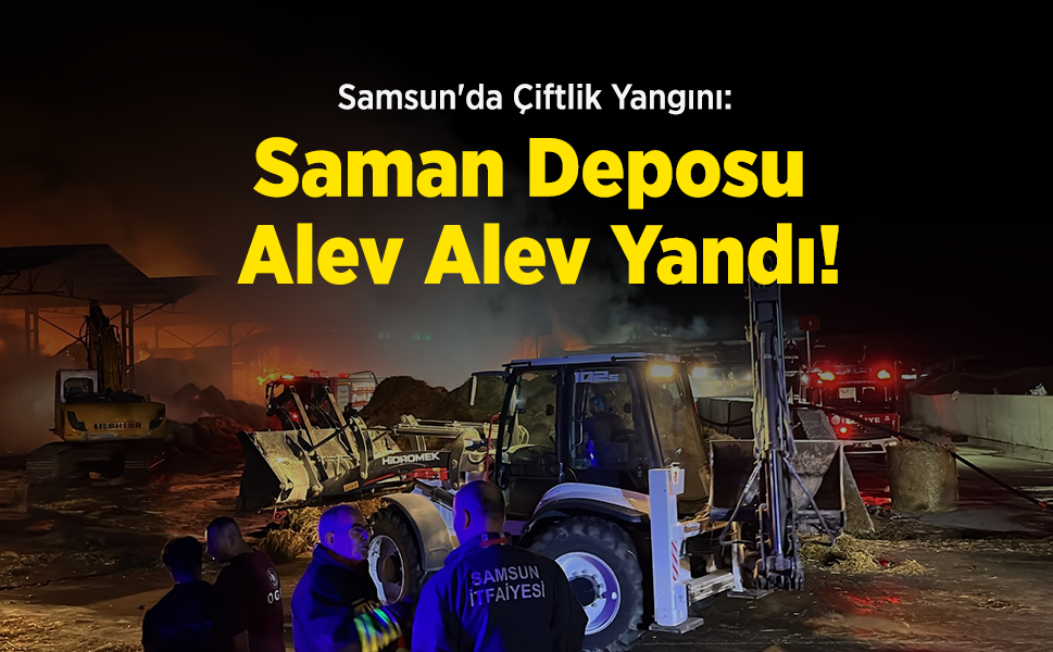 Samsun'da Çiftlik Yangını: Saman Deposu Alev Alev Yandı!