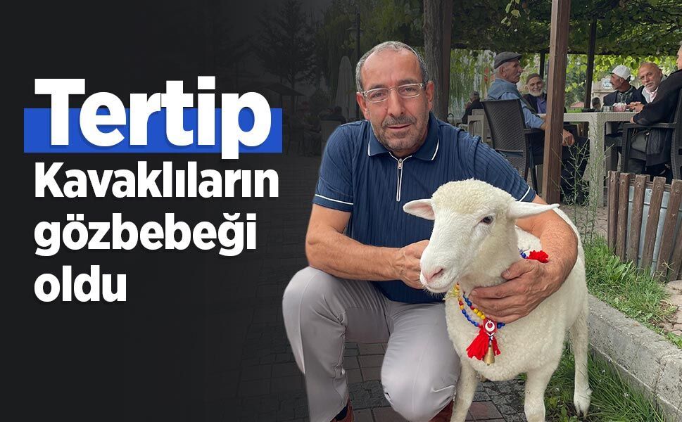 Tertip, Kavaklıların gözbebeği oldu