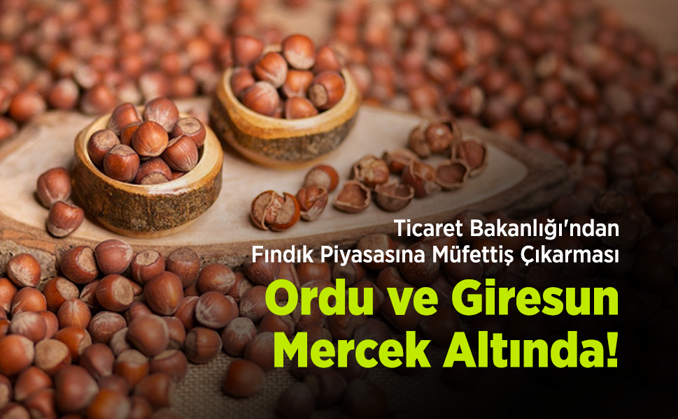 Ticaret Bakanlığı'ndan Fındık Piyasasına Müfettiş Çıkarması: Ordu ve Giresun Mercek Altında!