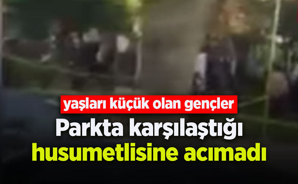 Parkta karşılaştığı husumetlisine acımadı