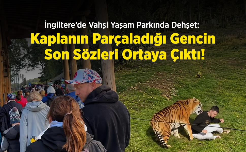 İngiltere’de Vahşi Yaşam Parkında Dehşet: Kaplanın Parçaladığı Gencin Son Sözleri Ortaya Çıktı!