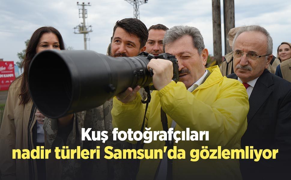 Kuş fotoğrafçıları, nadir türleri Samsun'da gözlemliyor