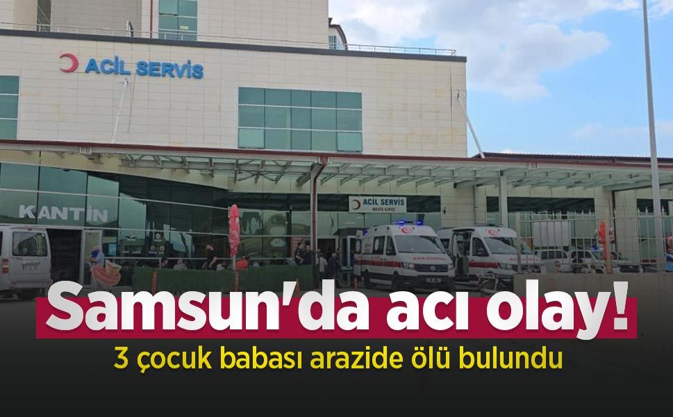 Samsun'da acı olay! 3 çocuk babası arazide ölü bulundu