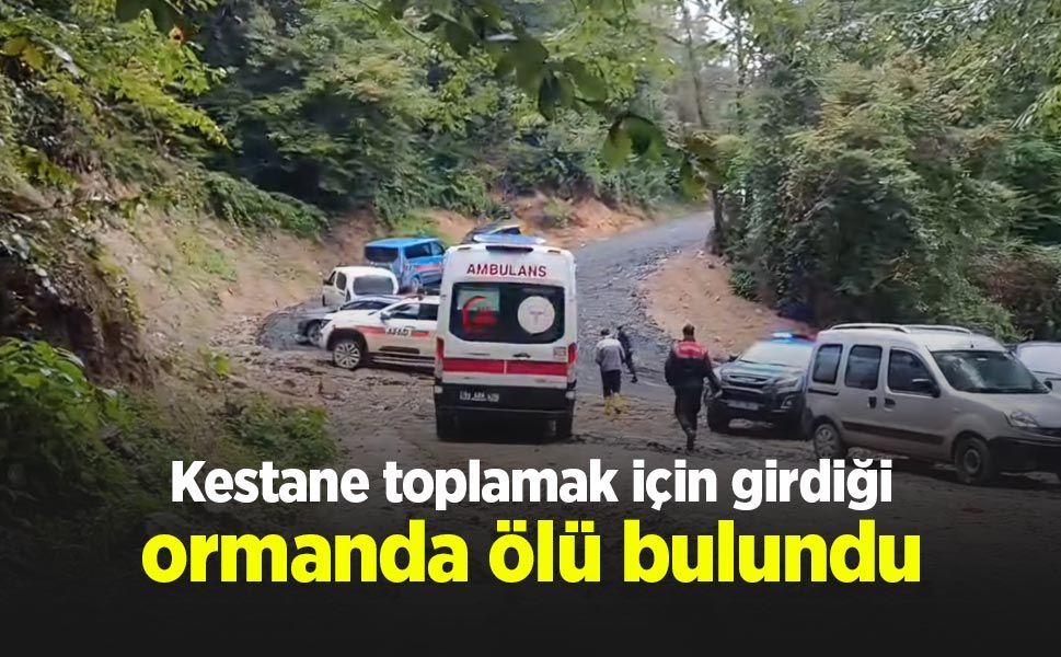 Kestane toplamak için girdiği ormanda ölü bulundu