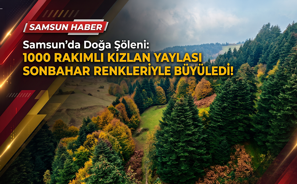 Samsun'da Doğa Şöleni: 1000 Rakımlı Kızlan Yaylası Sonbahar Renkleriyle Büyüledi!