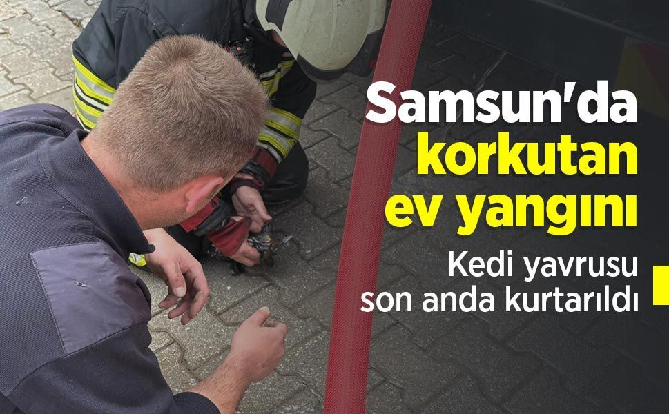 Samsun'da korkutan ev yangını: Kedi yavrusu son anda kurtarıldı