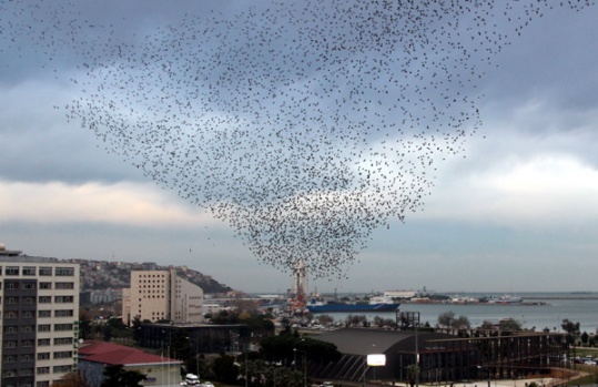 Samsun Semalarında Muhteşem Görüntü