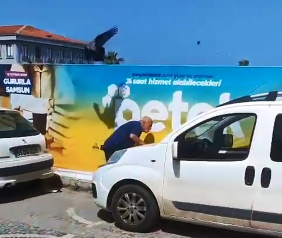 A W463072 03 948X800