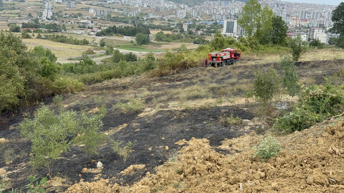 A W530032 01 1200X675