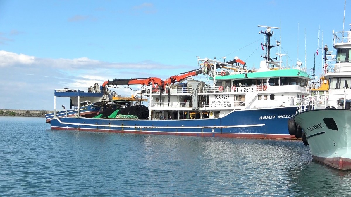 A W557645 02 1200X675