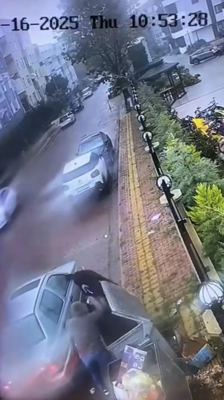 A W560587 04 449X800