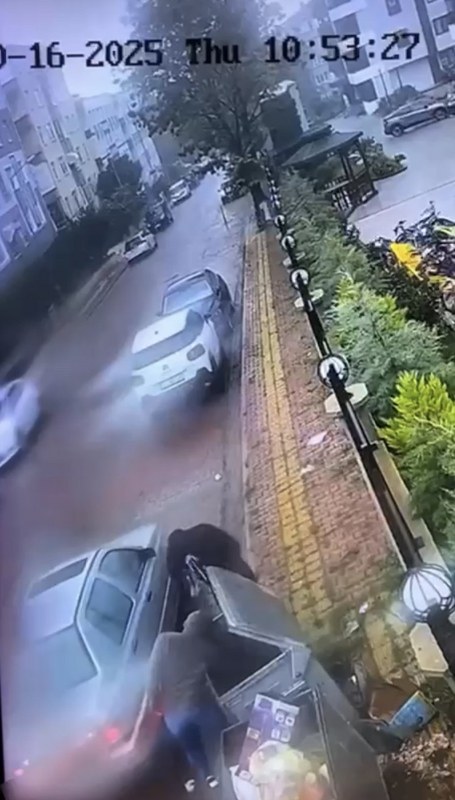 A W560587 09 455X800