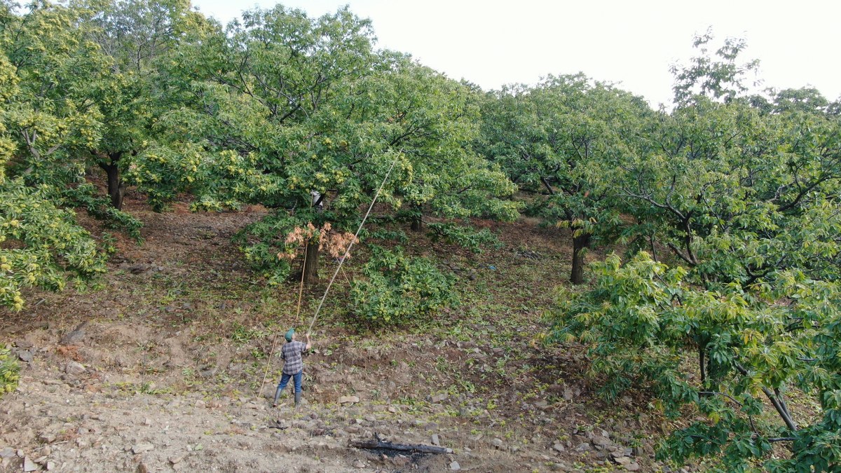 A W561345 03 1200X675