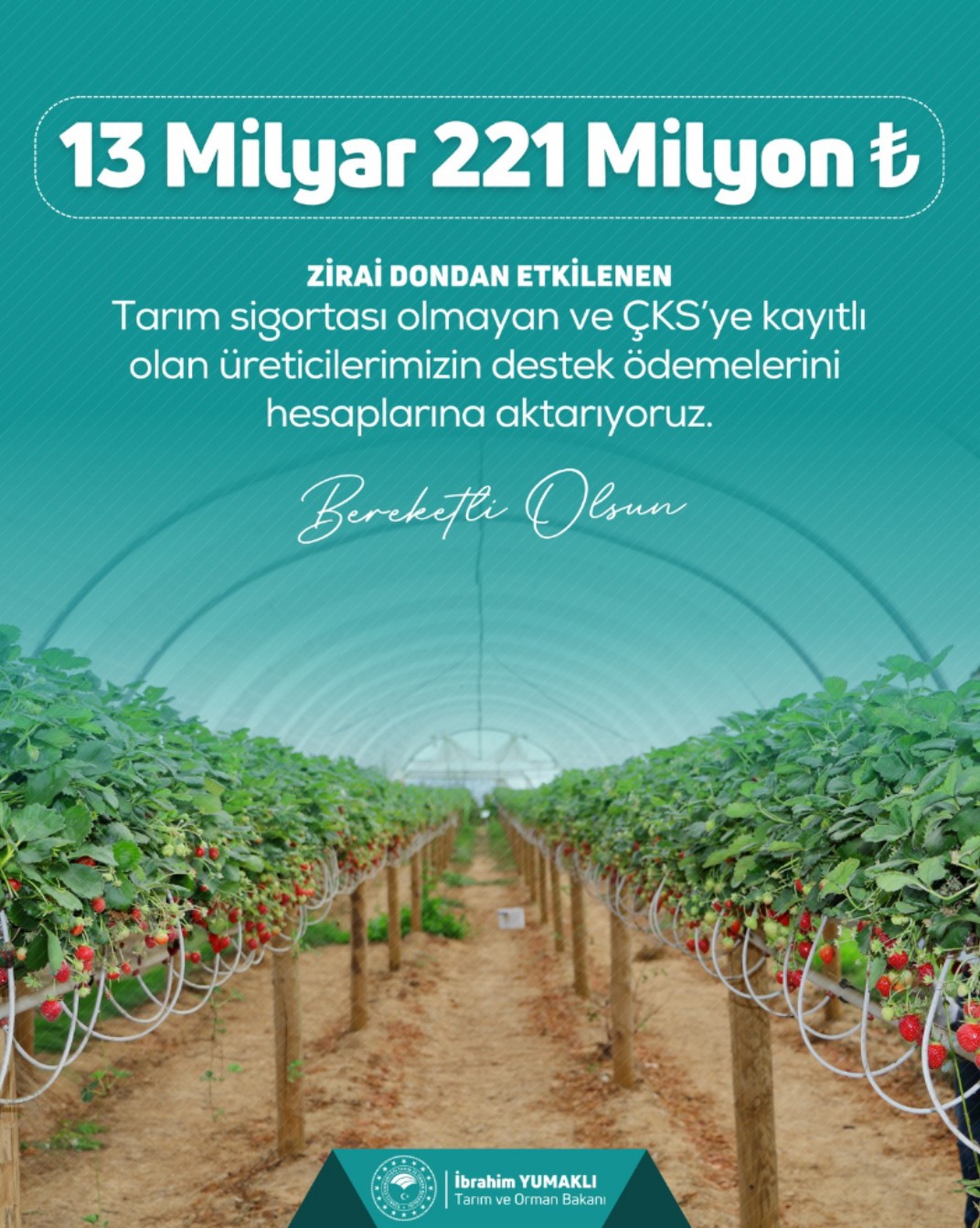 A W562831 01